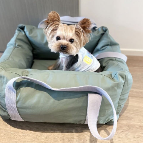 Cuscino Per Auto Per Cani – Protezione E Morbidezza In Viaggio