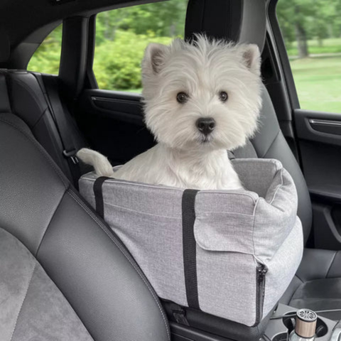 Silla de Auto Para Animales — Transporte Seguro Y Cómodo 