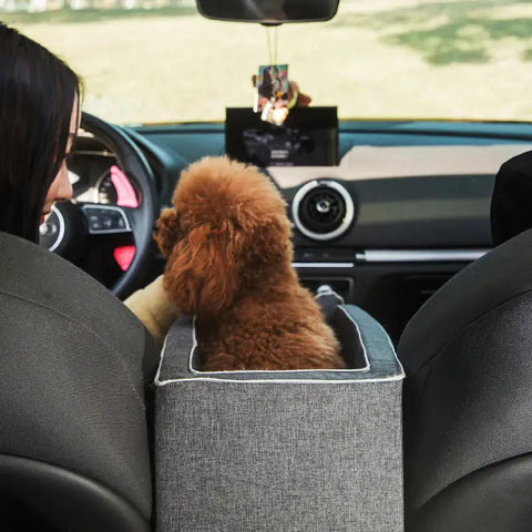 Reise-Auto-Sitz für Hunde – Perfekt für kleine Begleiter 