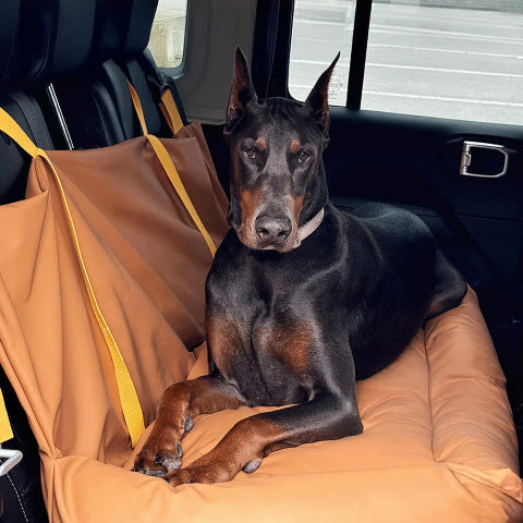 Cuscino Per Auto Per Cani – Protezione E Morbidezza In Viaggio 