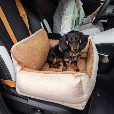 Bilbarnstol för hund – Komfort och säkerhet i bilen 