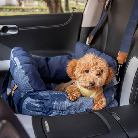 Cesta Portátil Para Perros — Confortable En Casa Y En Coche 