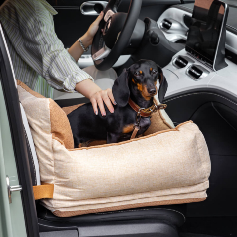 Bilbarnstol för hund – Komfort och säkerhet i bilen 
