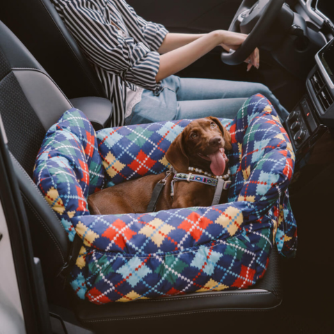 Cesta Portátil Para Perros — Confortable En Casa Y En Coche 