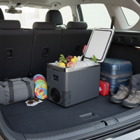 Mini Frigorifero & Scaldavivande da Auto — 2 in 1 Pratico 