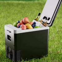 Mini Frigorifero & Scaldavivande da Auto — 2 in 1 Pratico 