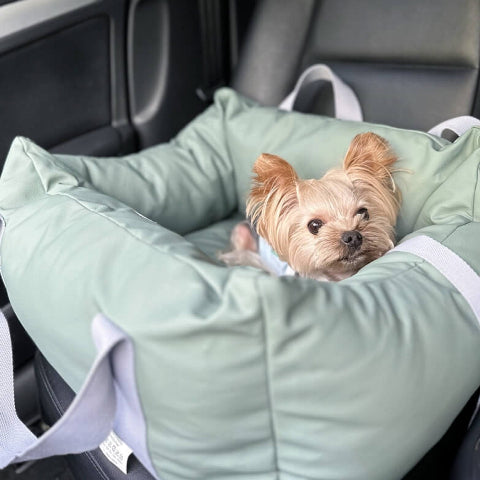 Cuscino Per Auto Per Cani – Protezione E Morbidezza In Viaggio 